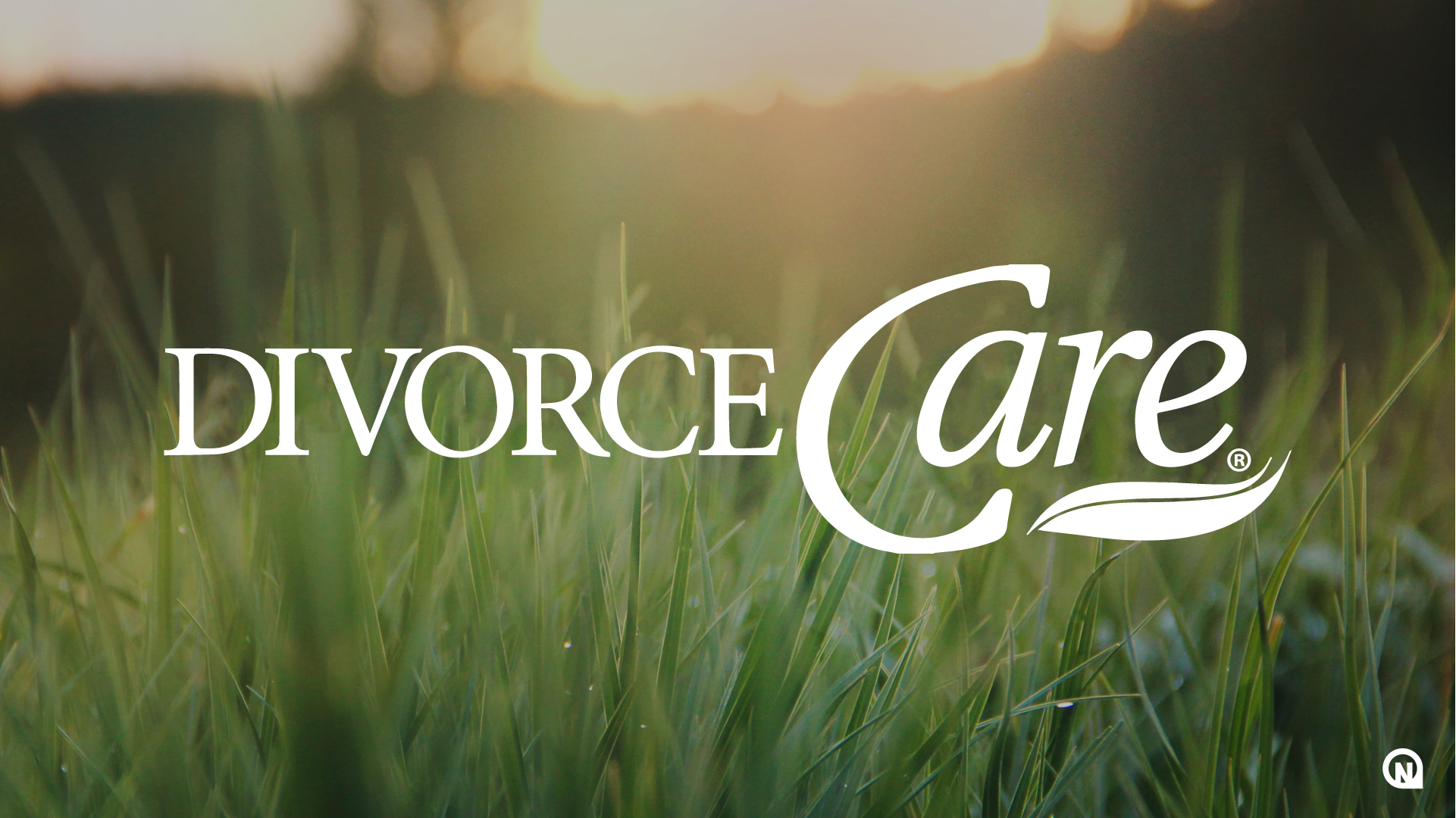 Divorce Care Support Group